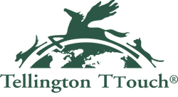 rsz_tellington_touch_logo